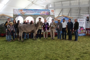 Cristian Jairo Muñoz, el gran triunfador en ganado suizo americano, en la feria ganadera