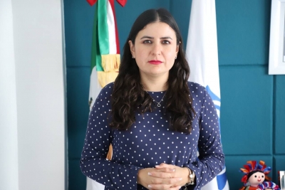 Venganza y capricho, plan B de Morena aprobado en el Senado: PAN